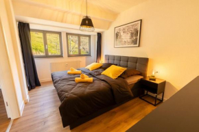 Pirna City Apartment - 4 Personen, WLAN, Waschmaschine